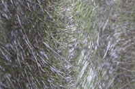 Maltby fibreglass roof work